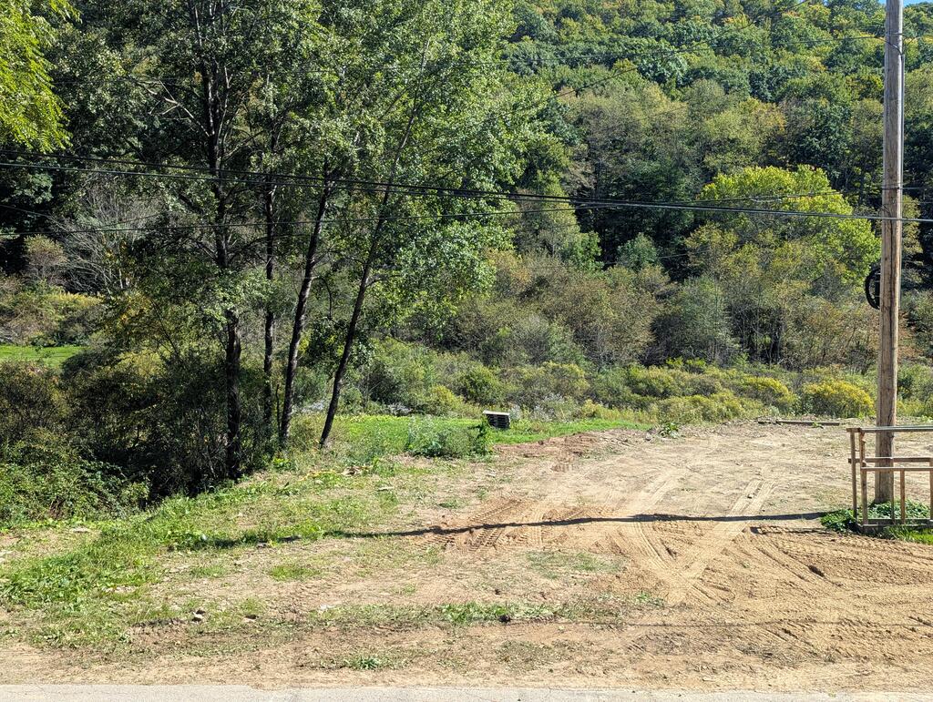 Cleared dirt lot bordered by dense woodland and shrubs.