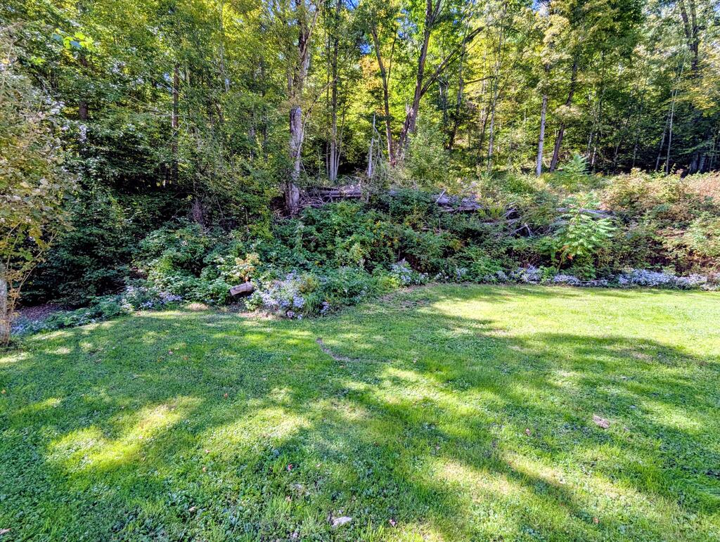 Mown lawn bordered by dense woods, with a small rocky stream along the slope.