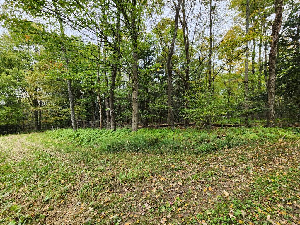 141 Angel Ln