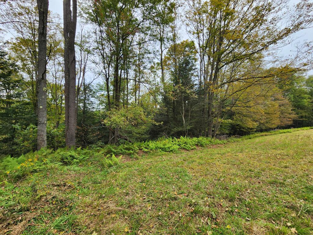 141 Angel Ln