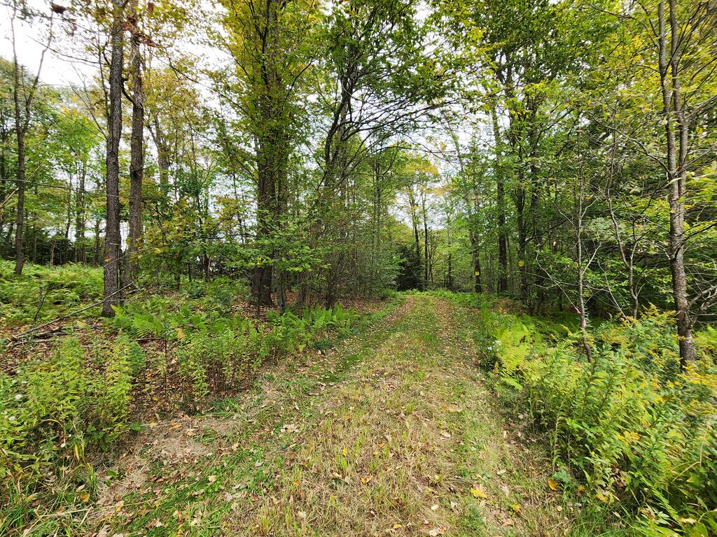 141 Angel Ln