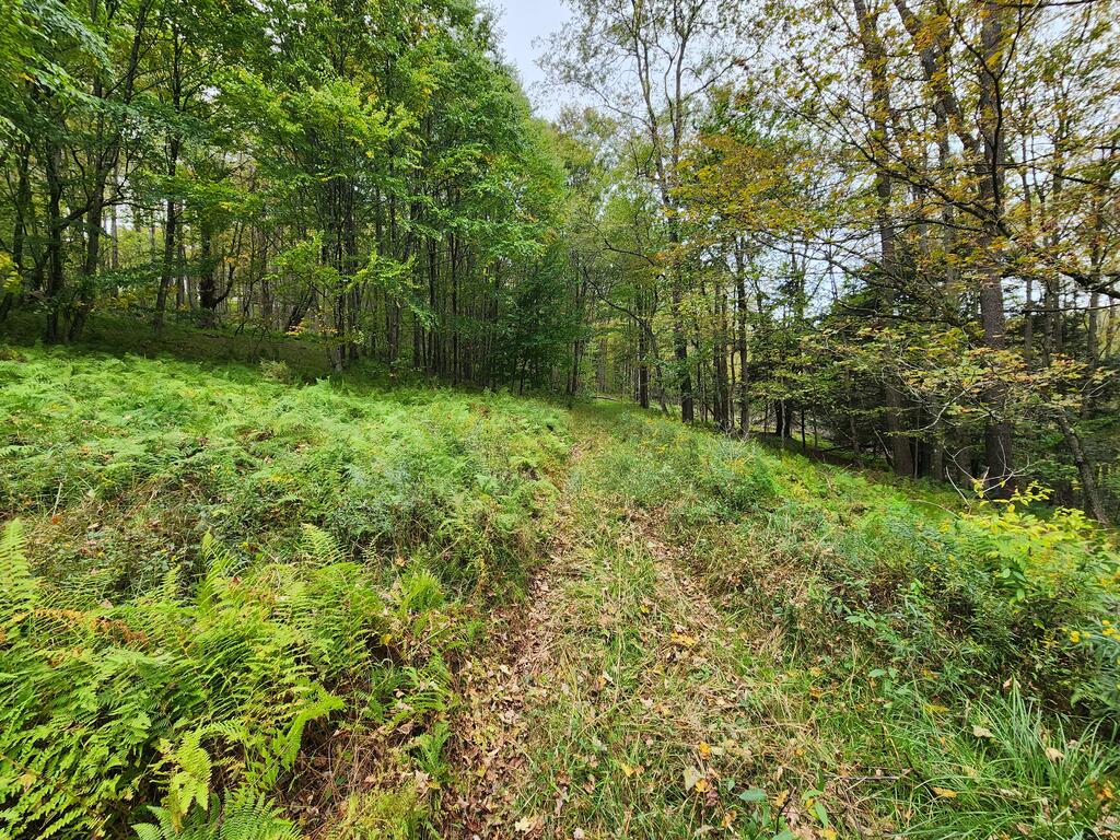 141 Angel Ln