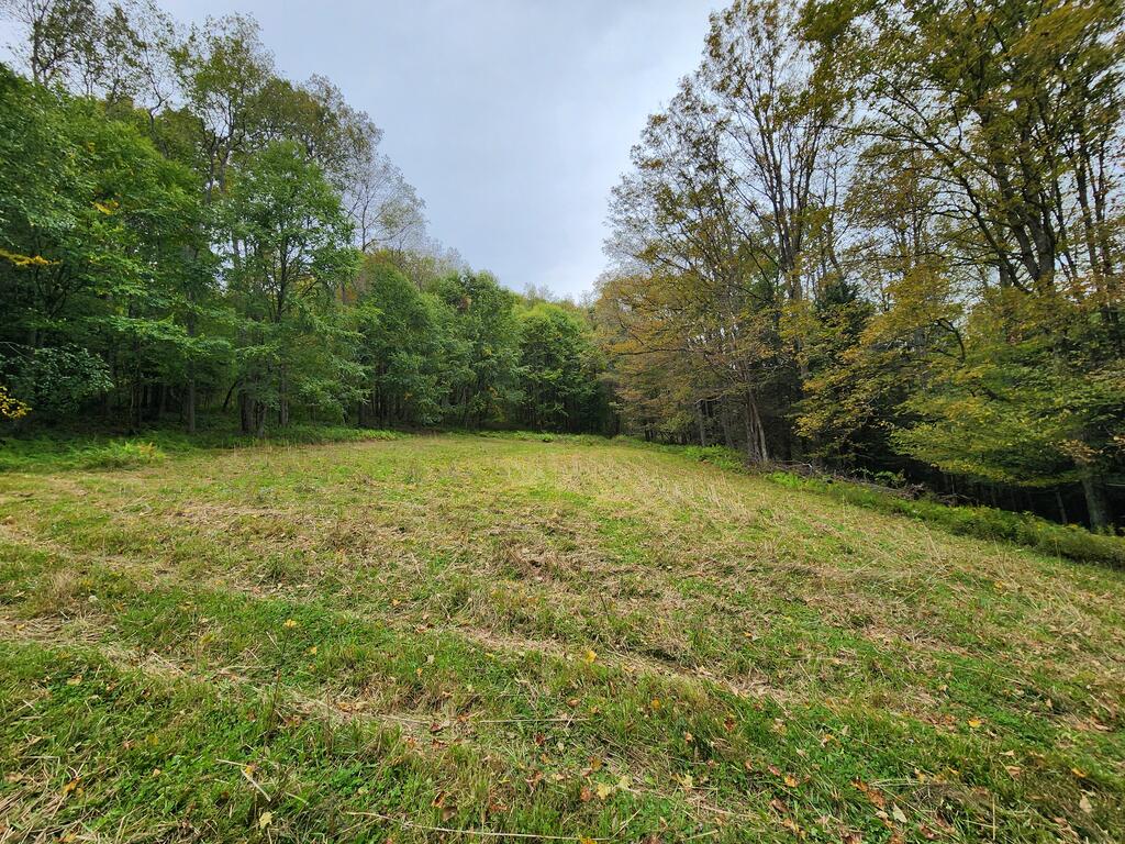 141 Angel Ln