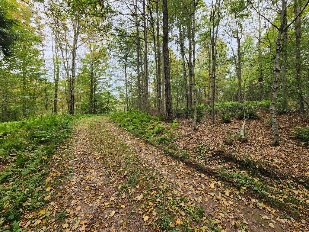 141 Angel Ln