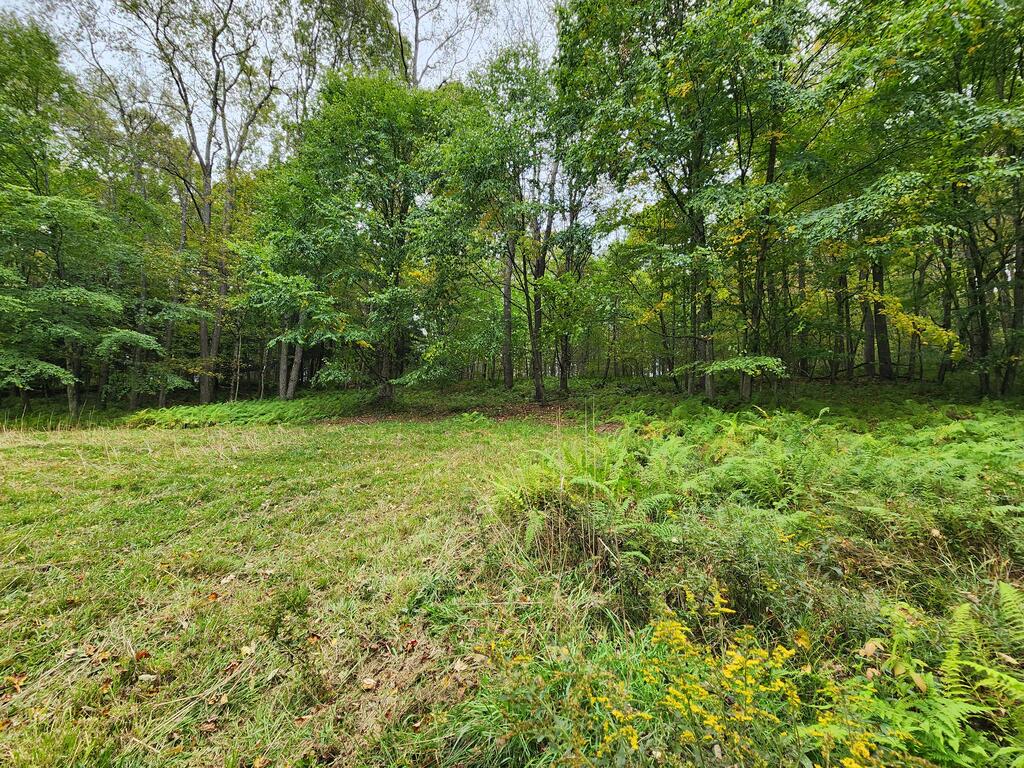 141 Angel Ln