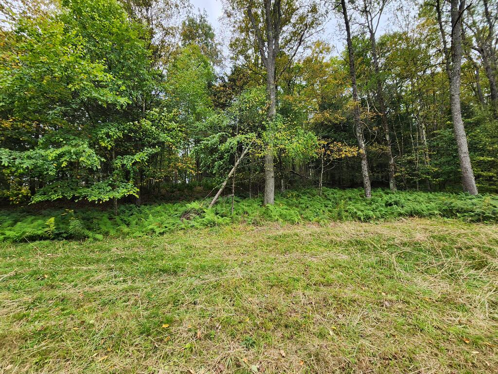141 Angel Ln