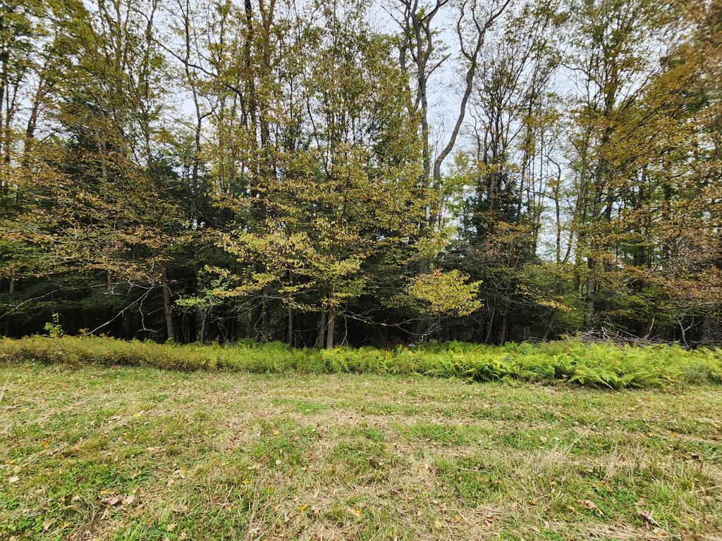 141 Angel Ln