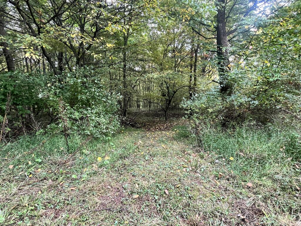 139 Old Township Lane