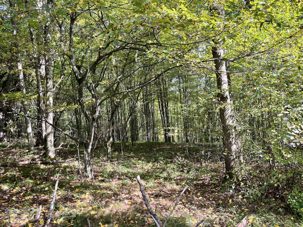 139 Old Township Lane