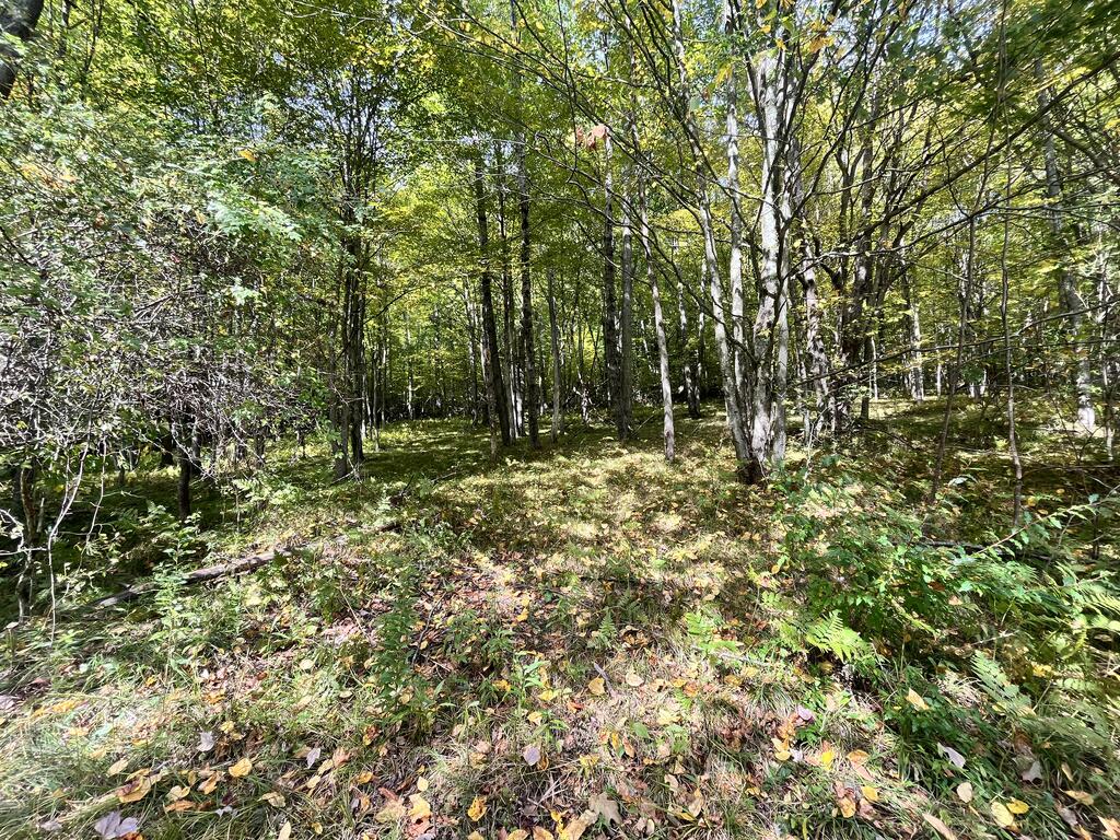 139 Old Township Lane