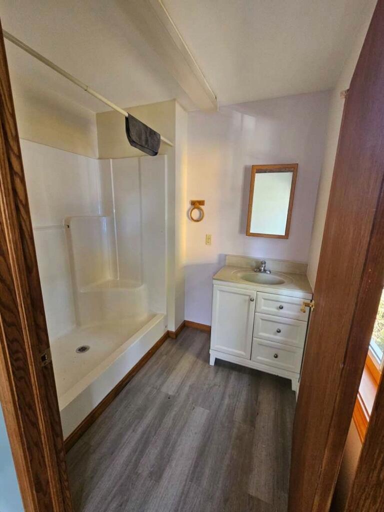 Bathroom with a walk-in shower and white vanity with mirror.