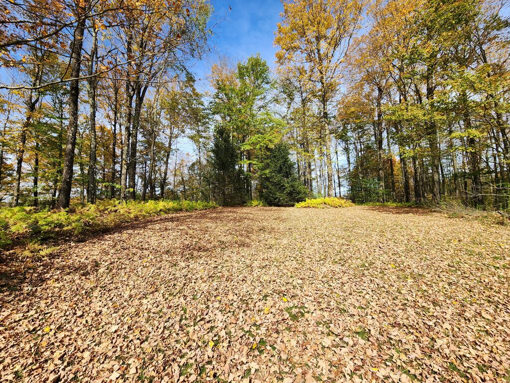 26 Jenkins Hill West