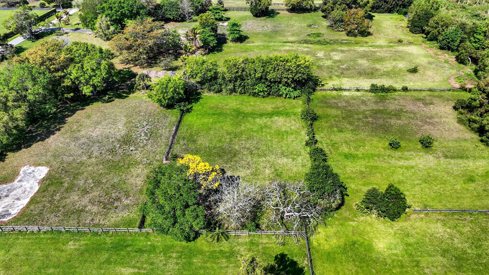 10245 La Reina Road