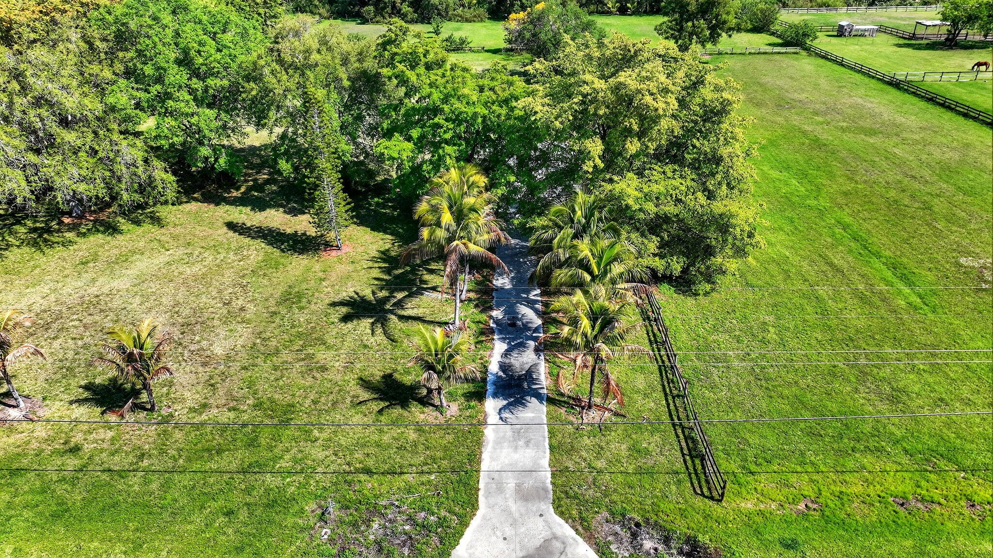 10245 La Reina Road