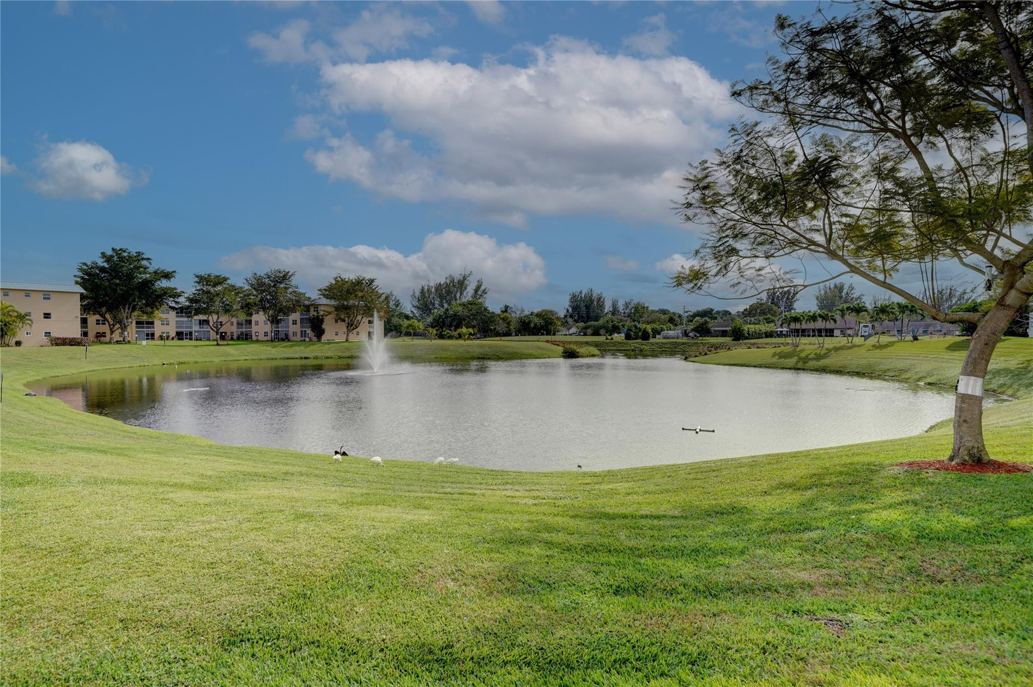 9894 Marina Blvd Unit: 523