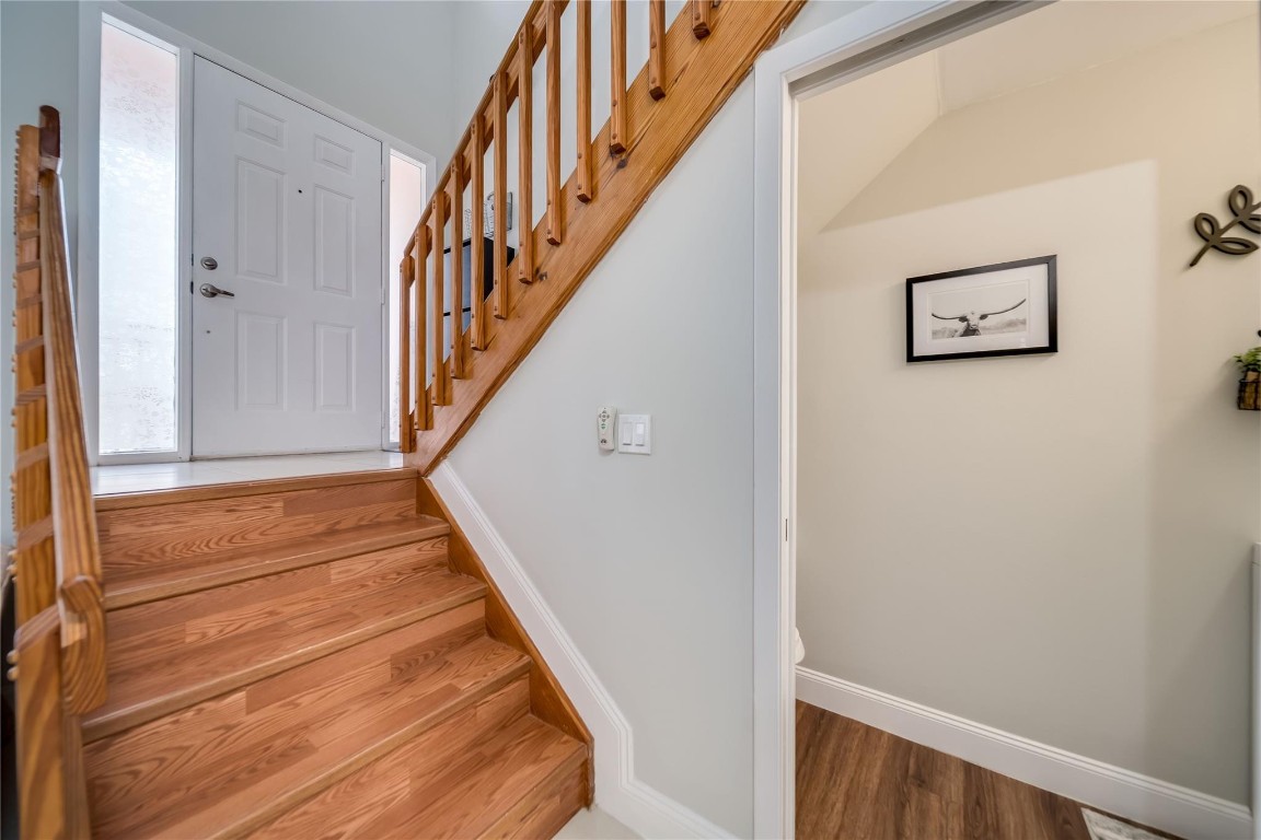 6451 Rock Beauty Ter