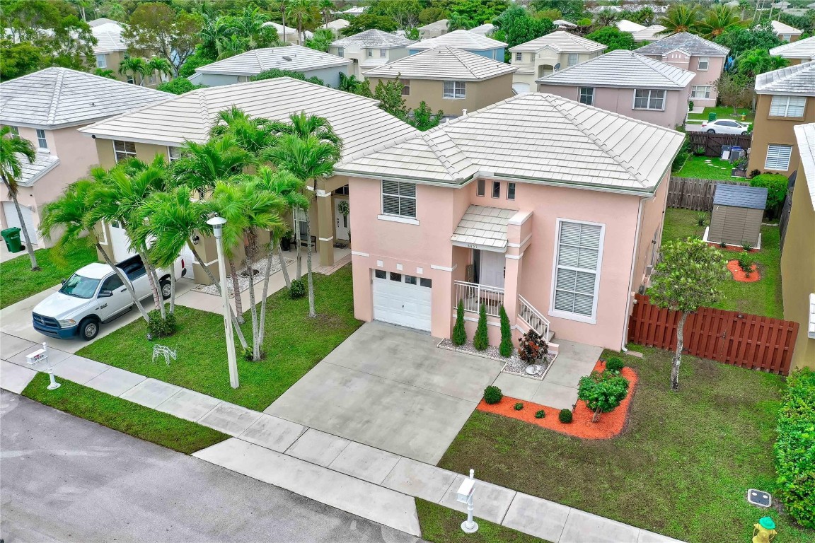 6451 Rock Beauty Ter