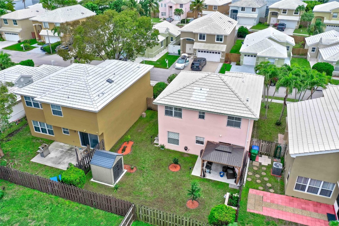 6451 Rock Beauty Ter