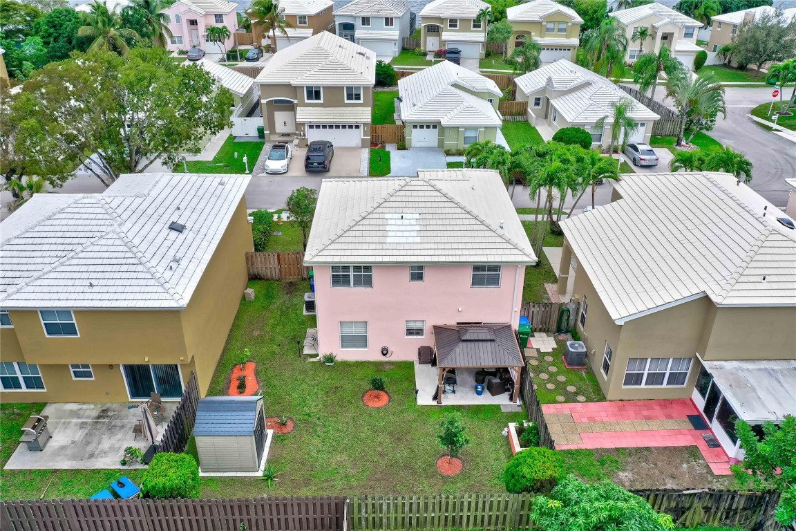 6451 Rock Beauty Ter