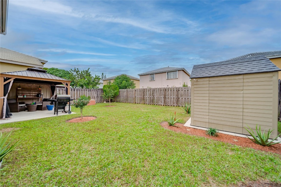 6451 Rock Beauty Ter