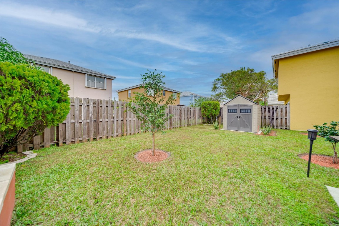 6451 Rock Beauty Ter