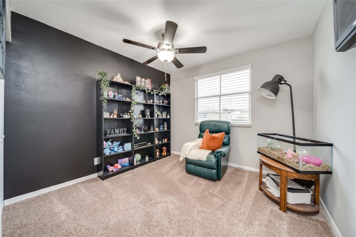 6451 Rock Beauty Ter