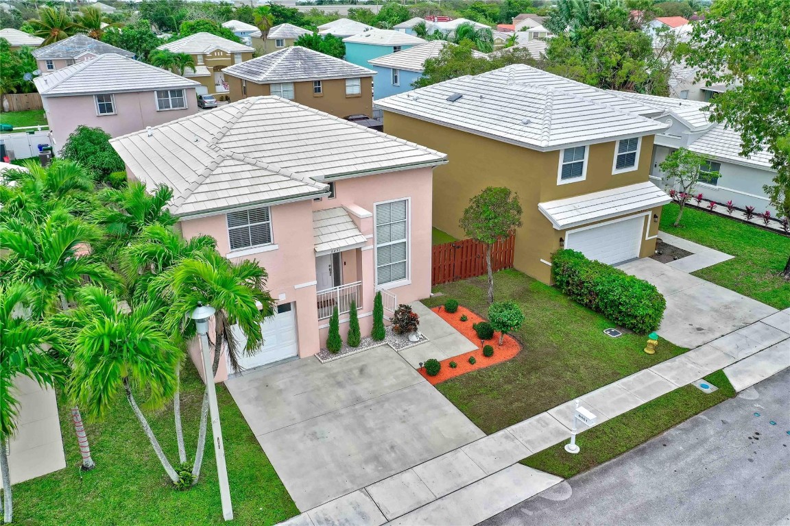 6451 Rock Beauty Ter