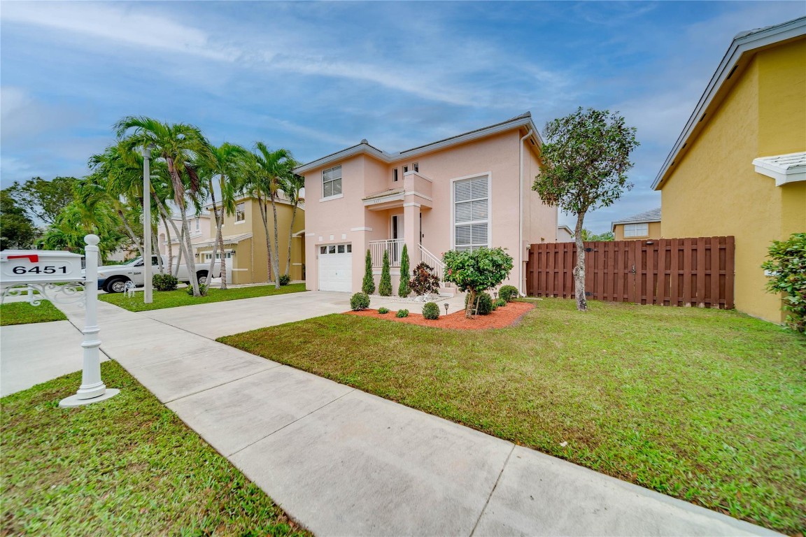 6451 Rock Beauty Ter