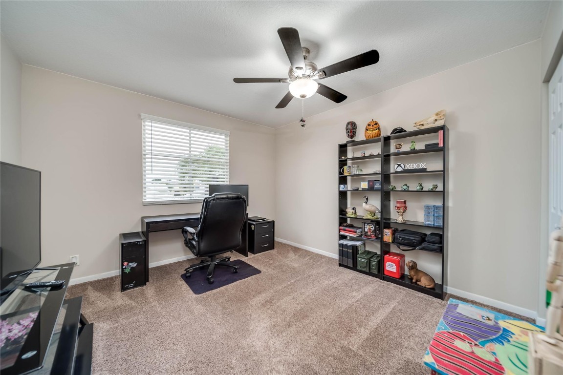 6451 Rock Beauty Ter