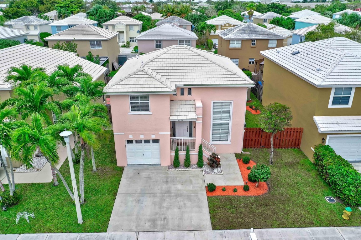 6451 Rock Beauty Ter