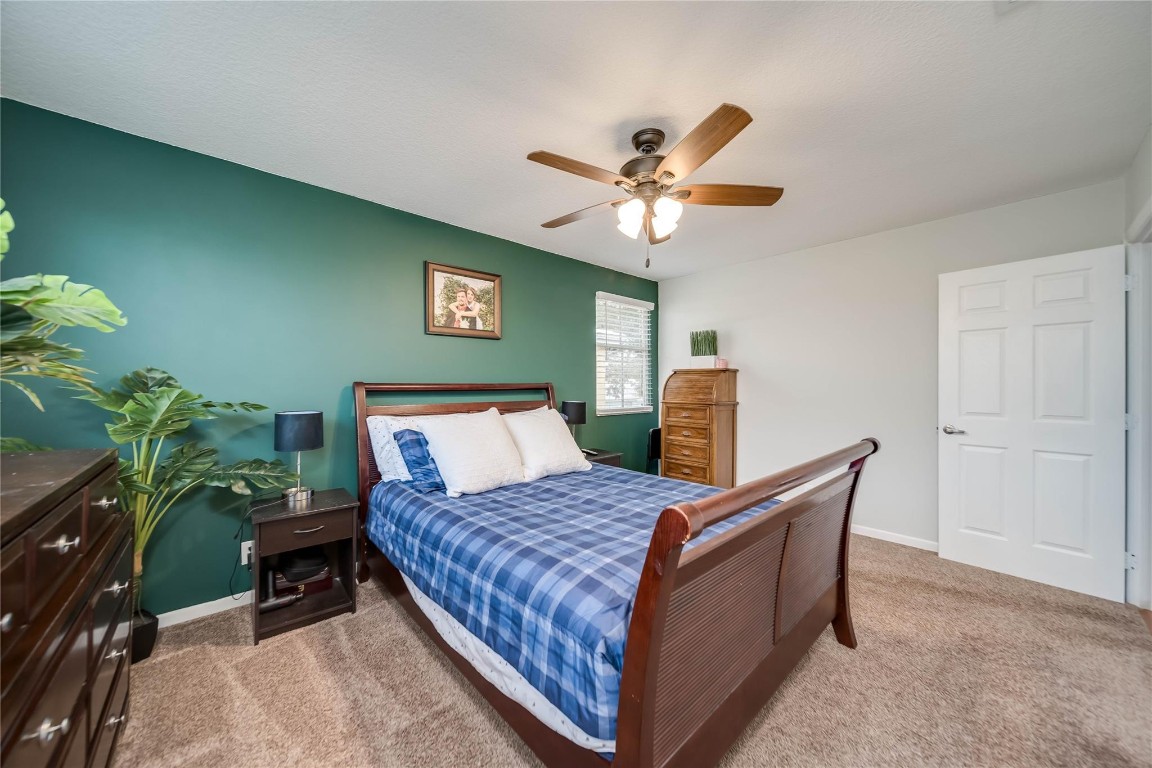 6451 Rock Beauty Ter