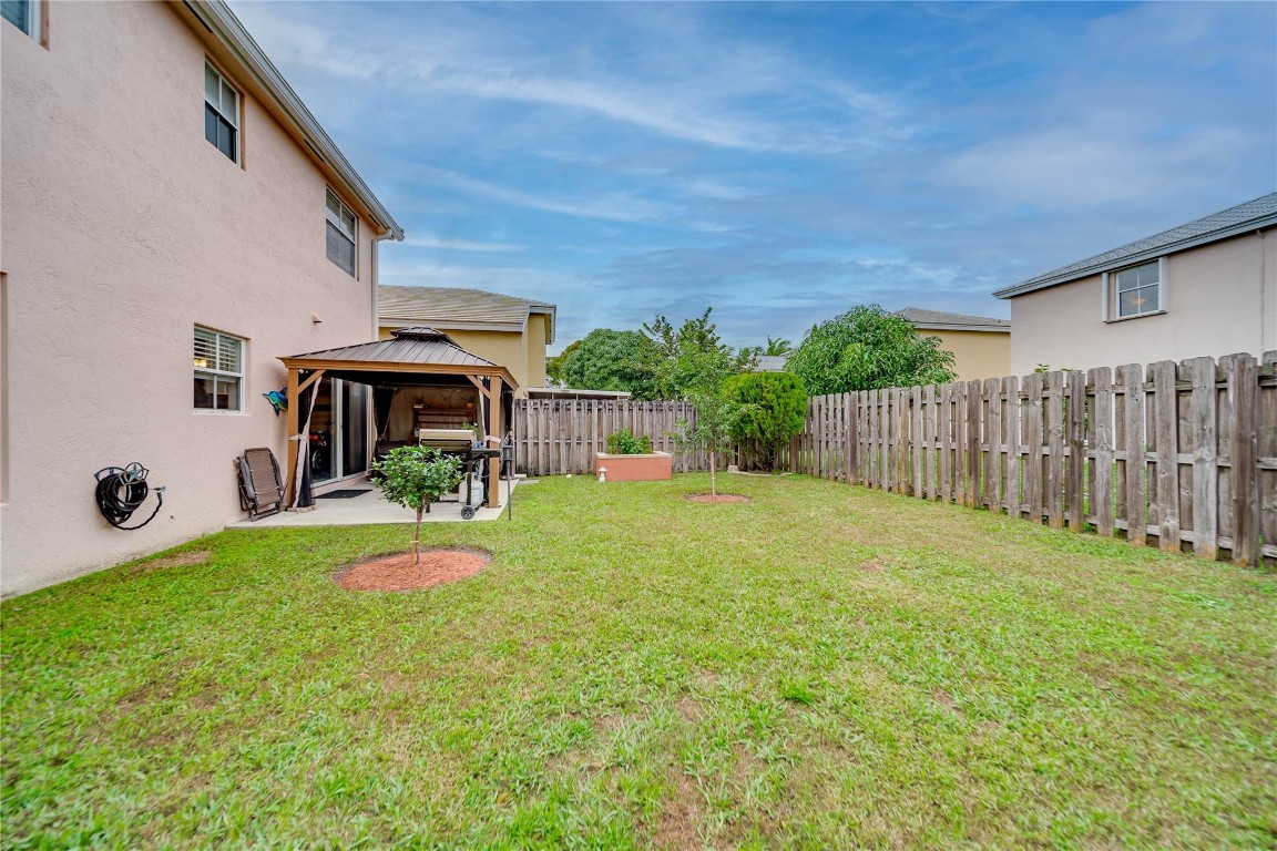 6451 Rock Beauty Ter