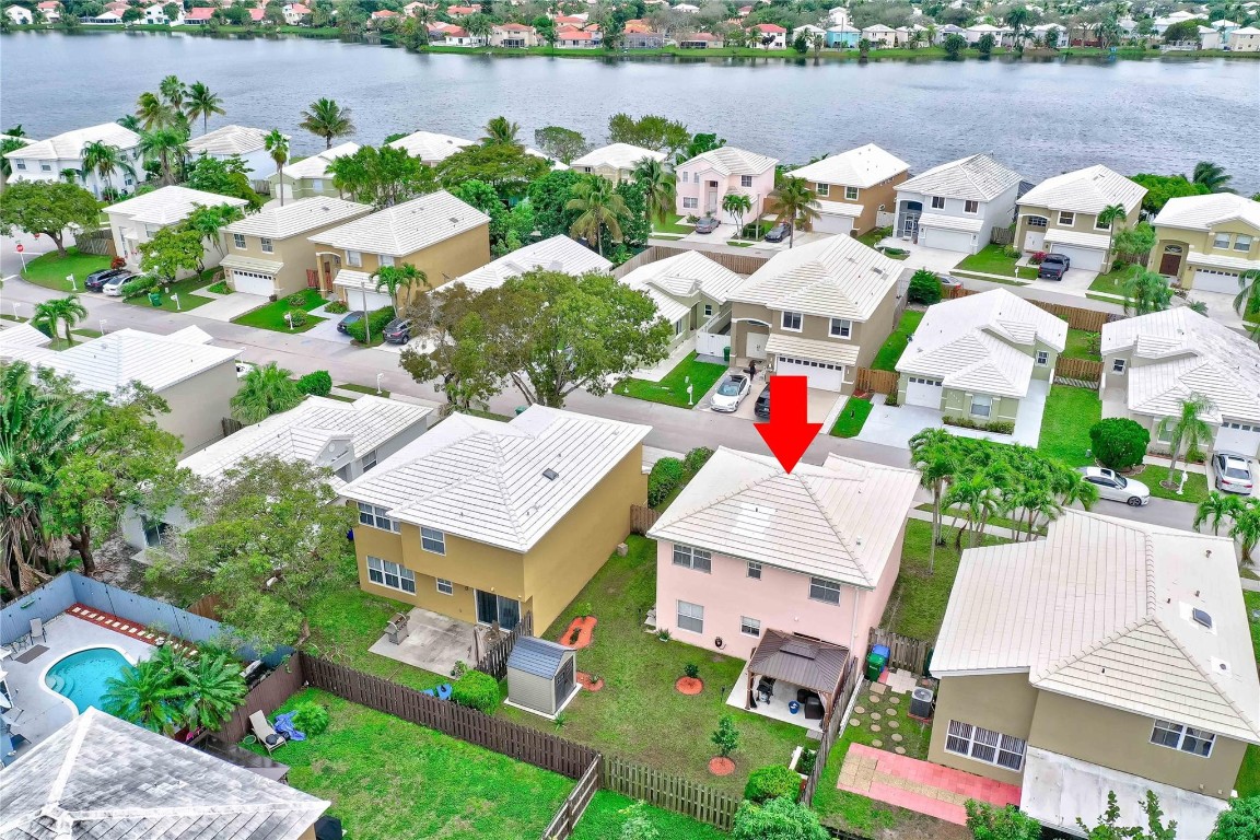 6451 Rock Beauty Ter