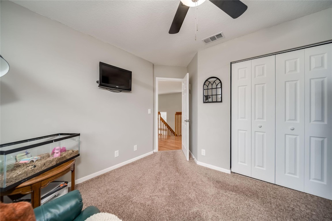 6451 Rock Beauty Ter