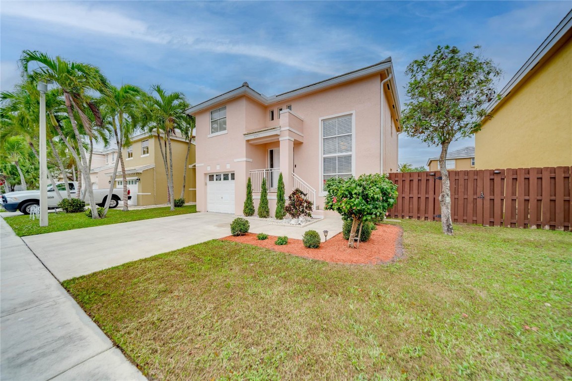 6451 Rock Beauty Ter