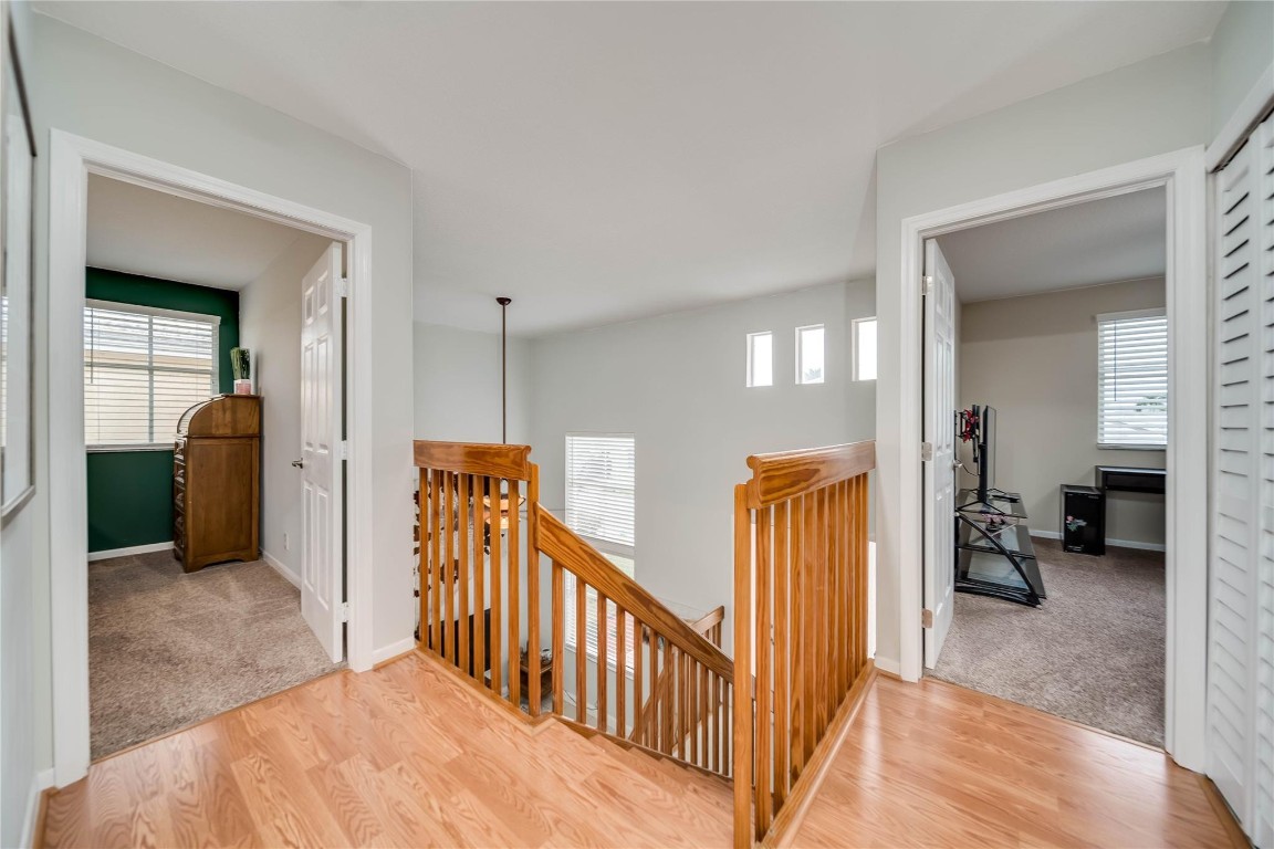 6451 Rock Beauty Ter