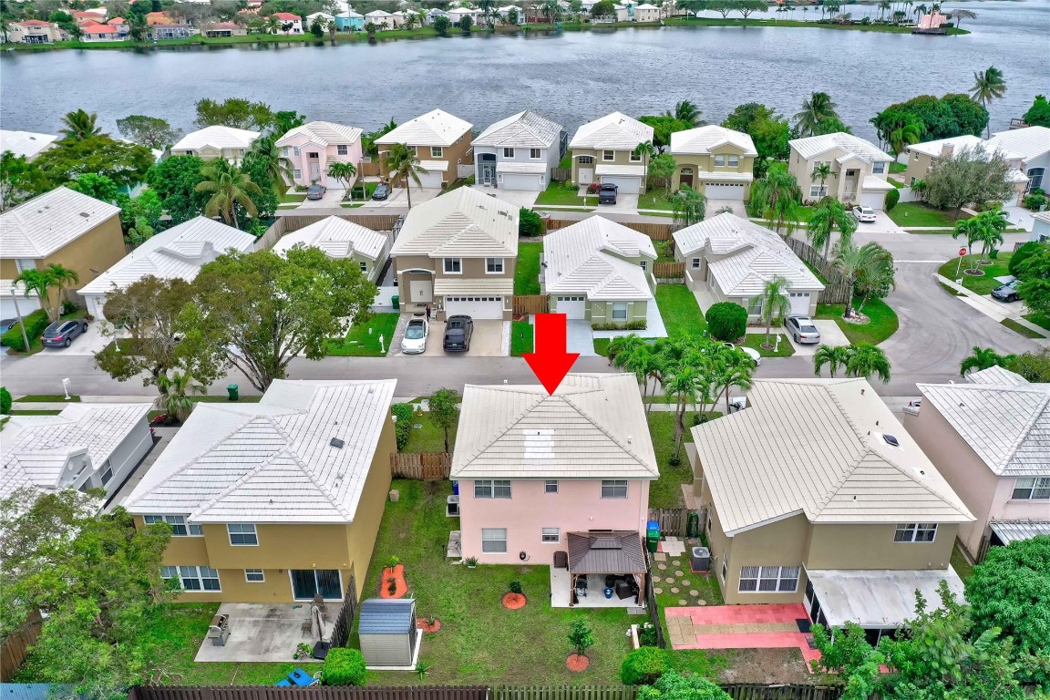 6451 Rock Beauty Ter