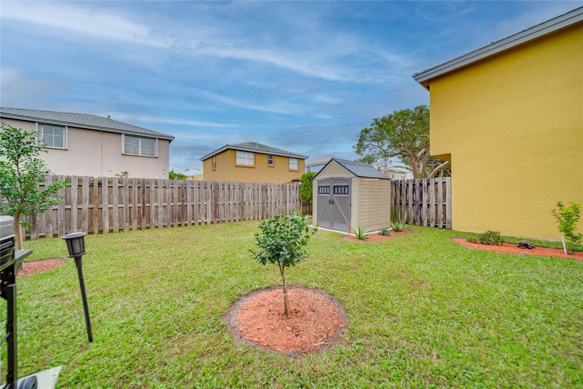 6451 Rock Beauty Ter