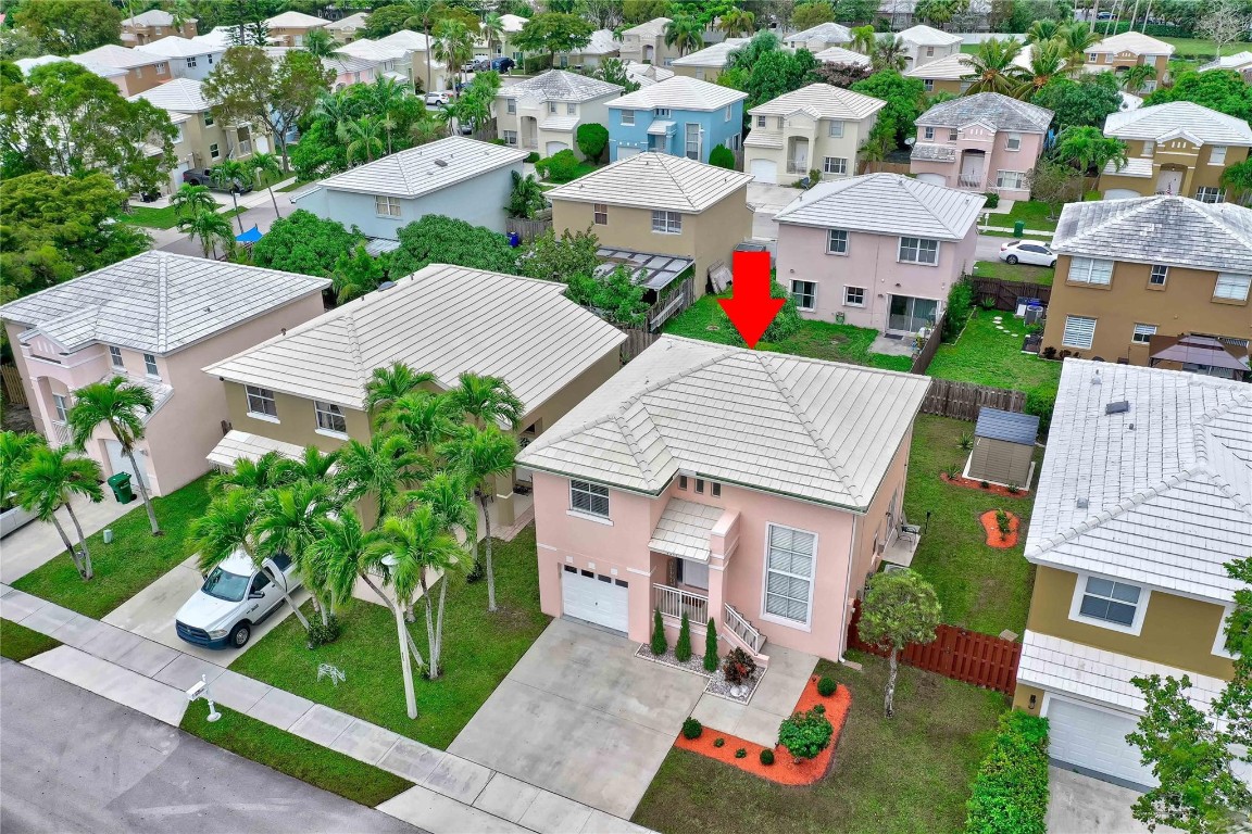 6451 Rock Beauty Ter