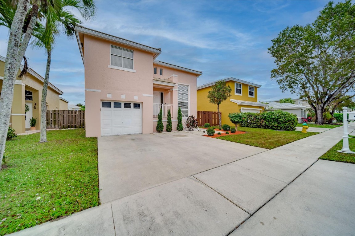 6451 Rock Beauty Ter