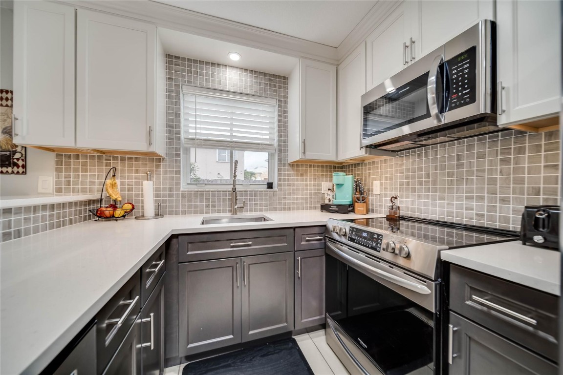 6451 Rock Beauty Ter