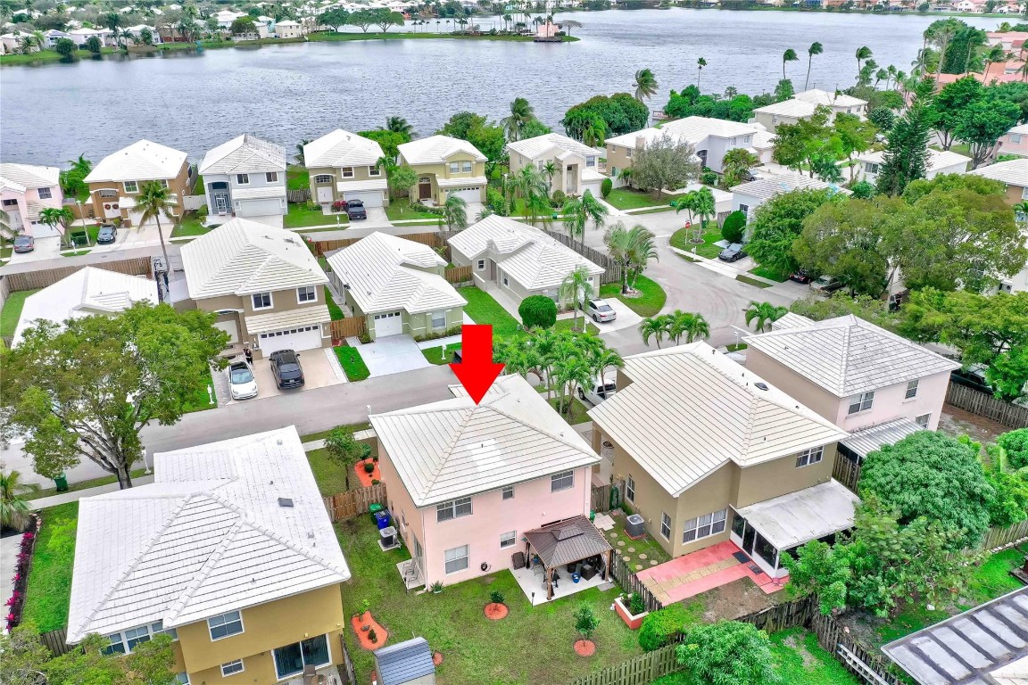 6451 Rock Beauty Ter