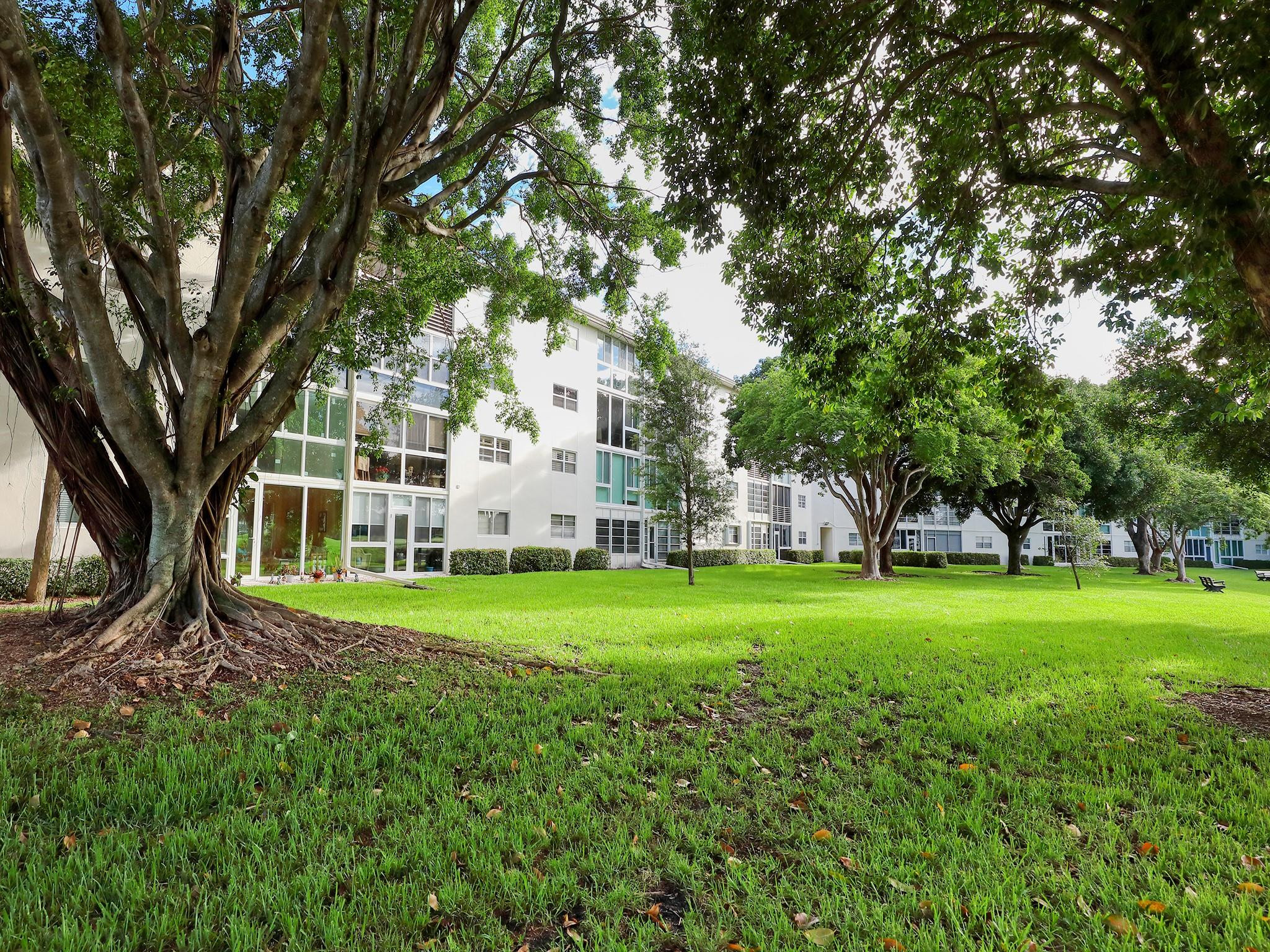 3403 Bimini Ln C4
