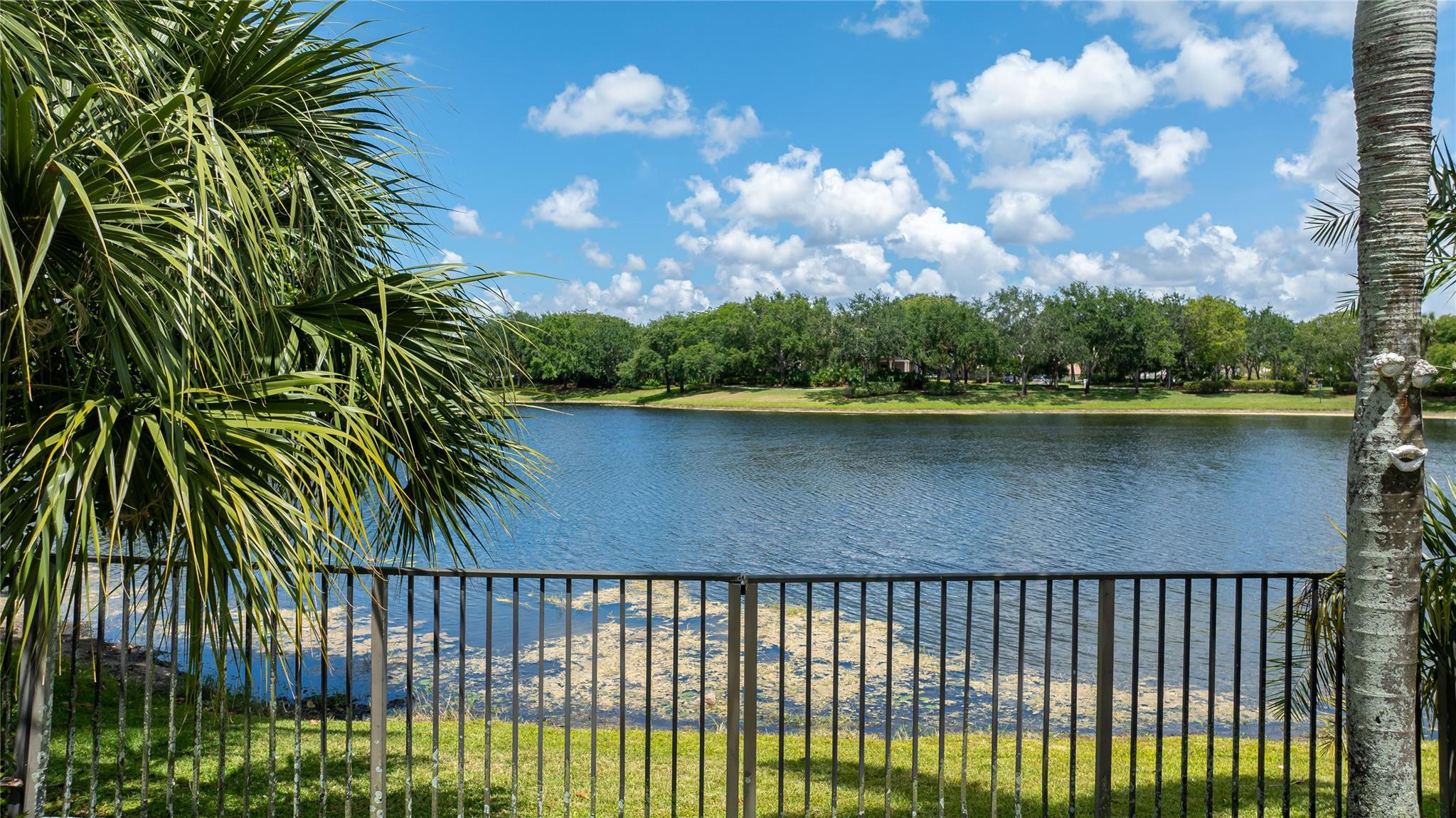 11239 NW 65th Mnr