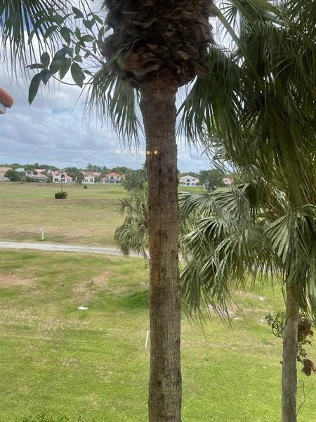 3380 Pinewalk Dr N 1135