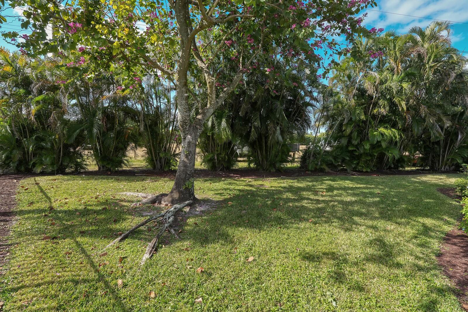 10960 La Salinas Cir