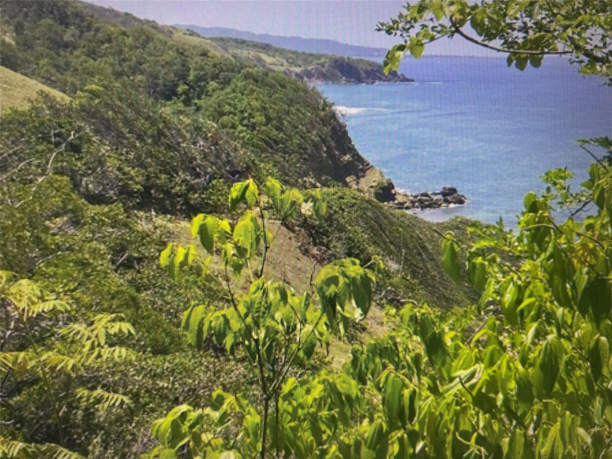 00 ROBINBAY