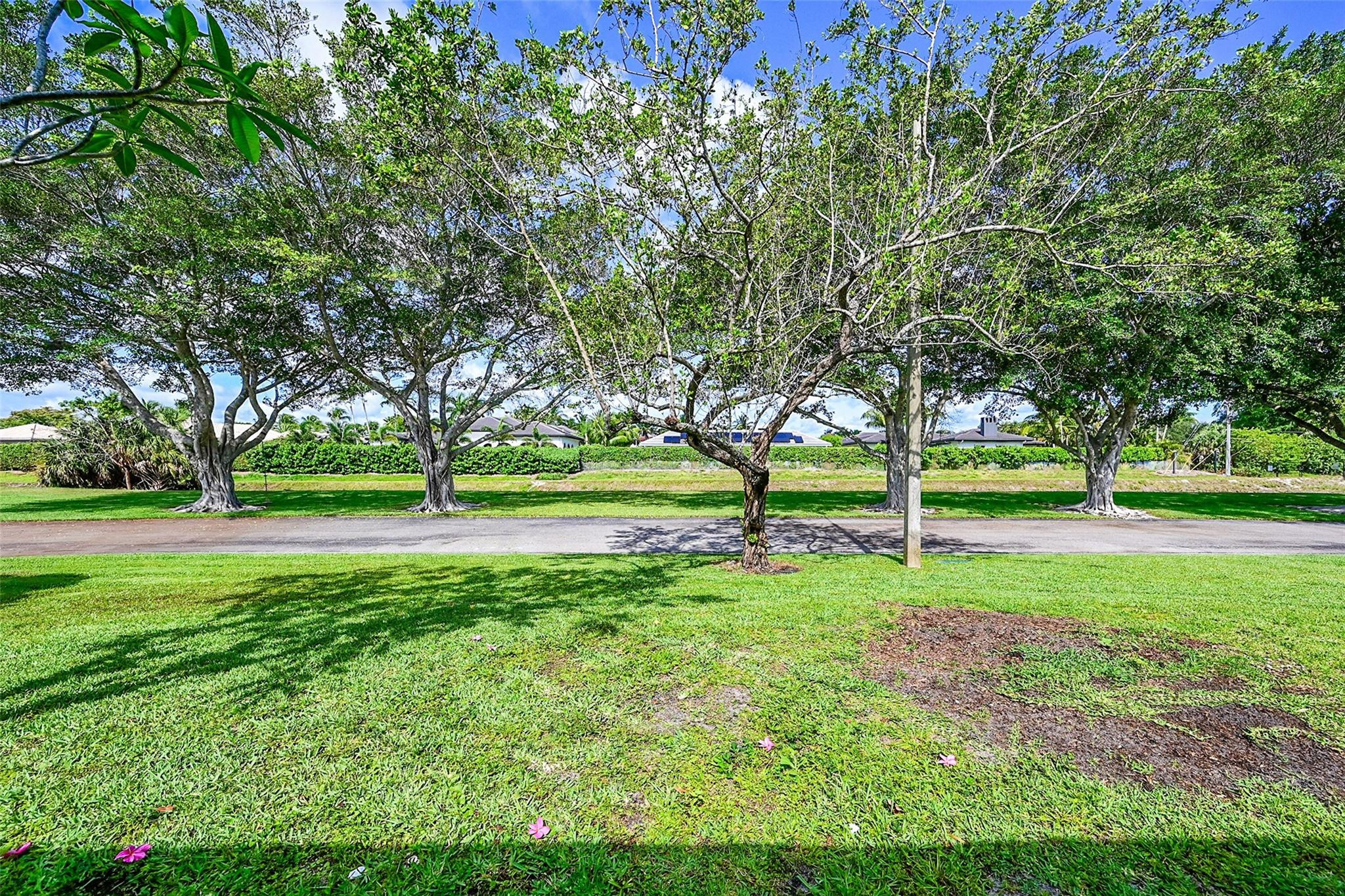 16419 Strawberry Way