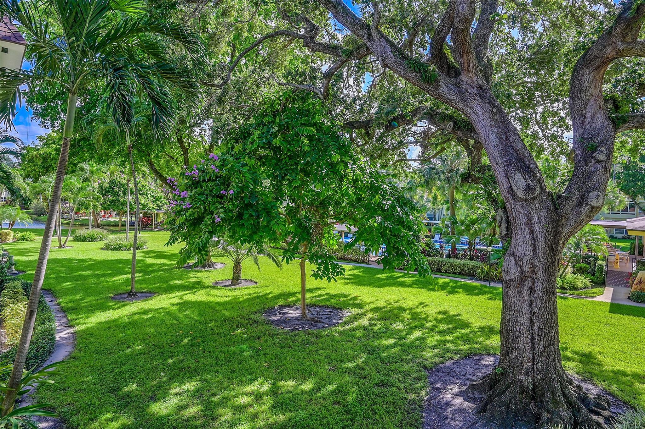 5141 W Oakland Park Blvd 211