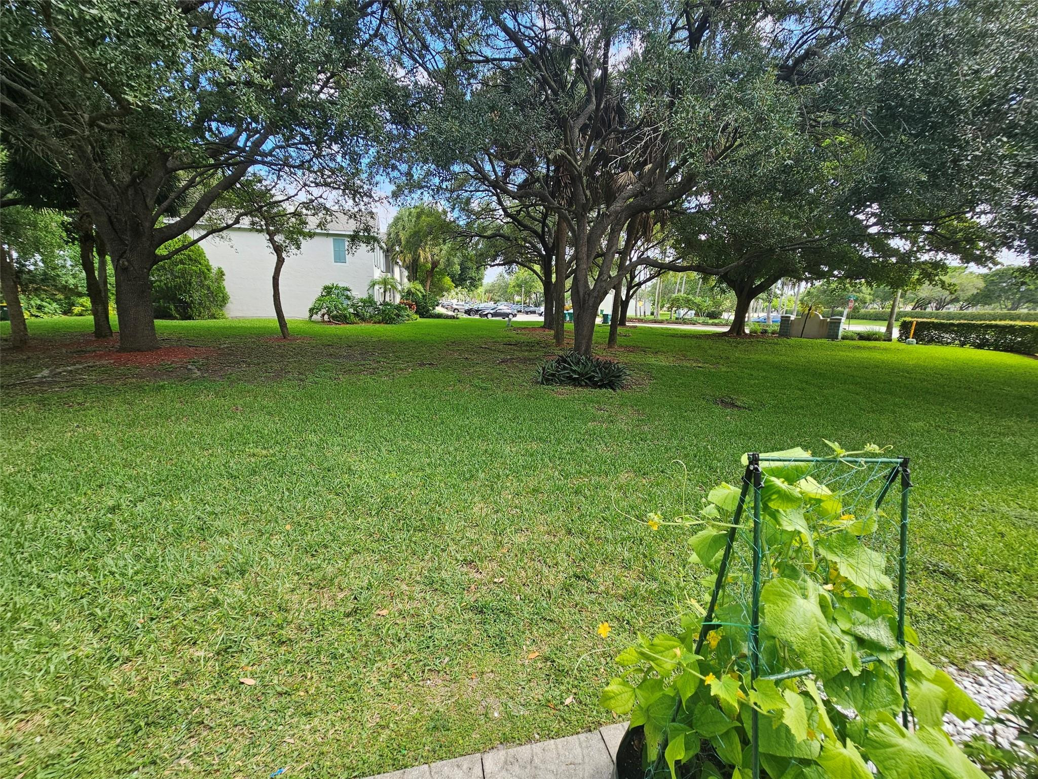 11011 Conch Ct